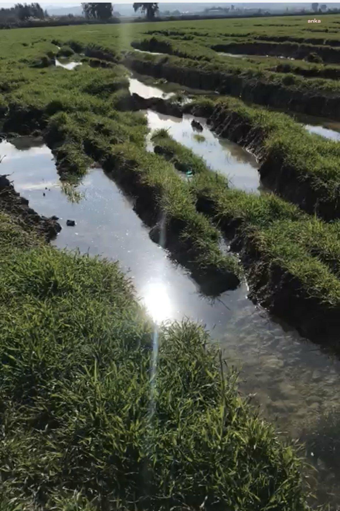 Antakya Ziraat Odası Başkanı Mehmet Muzaffer Okay, deprem nedeniyle Asi