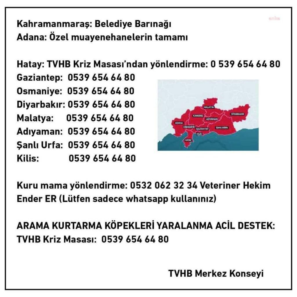 turk-veteriner-hekimleri-birligi-deprem-bolgesindeki-hayvanlara-tedavi-ve-mama-destegi-veriyor