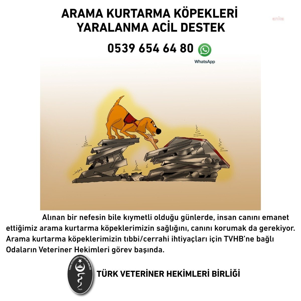 Türk Veteriner Hekimleri Birliği Başkanı Prof. Dr. Murat Arslan, Kahramanmaraş