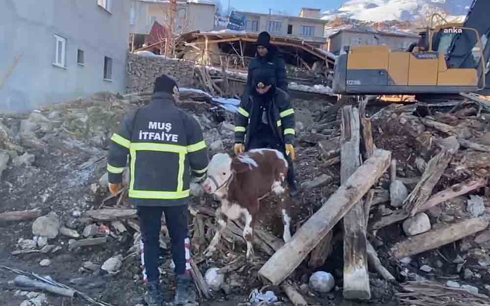 Ankara Damızlık Koyun Keçi Yetiştiricileri Birliği Başkanı Hasan Kılınç, afet