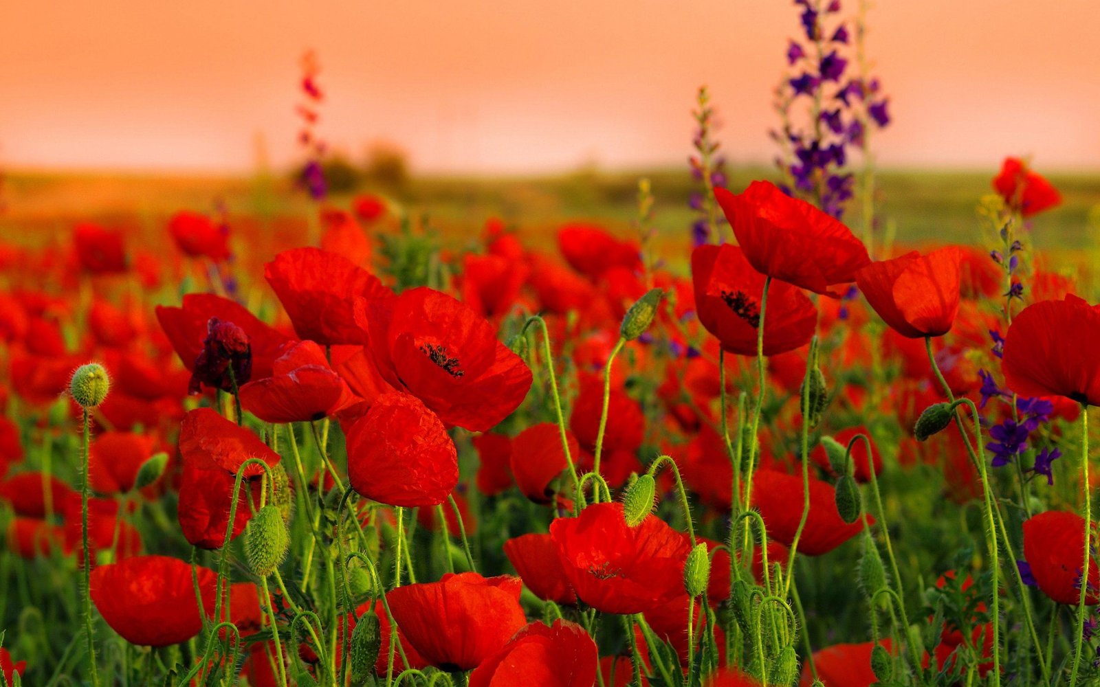 Hayatımıza gelenler ve hayatımızdan geçip gidenler, hepsinin farklı izlerini taşırız.