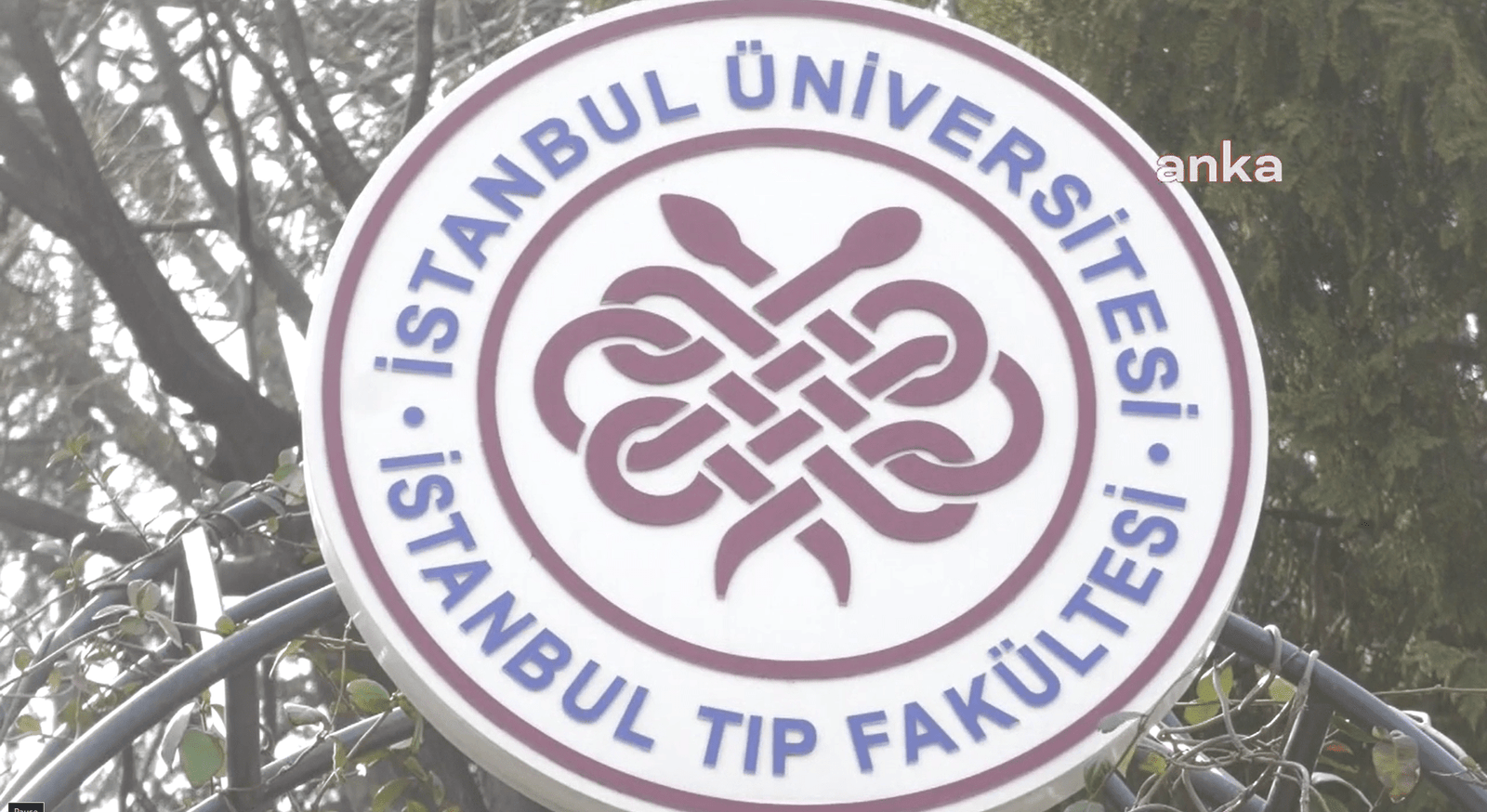 İstanbul Veteriner Hekimler Odası, İstanbul Üniversitesi Cerrahpaşa Avcılar Kampüsü’nde yer