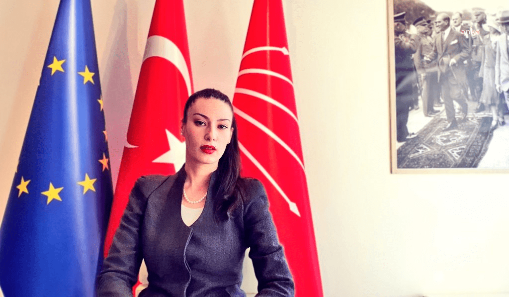 CHP Avrupa Birliği (AB) Temsilciliği Başkanı ve Avrupa Sosyalistler Partisi
