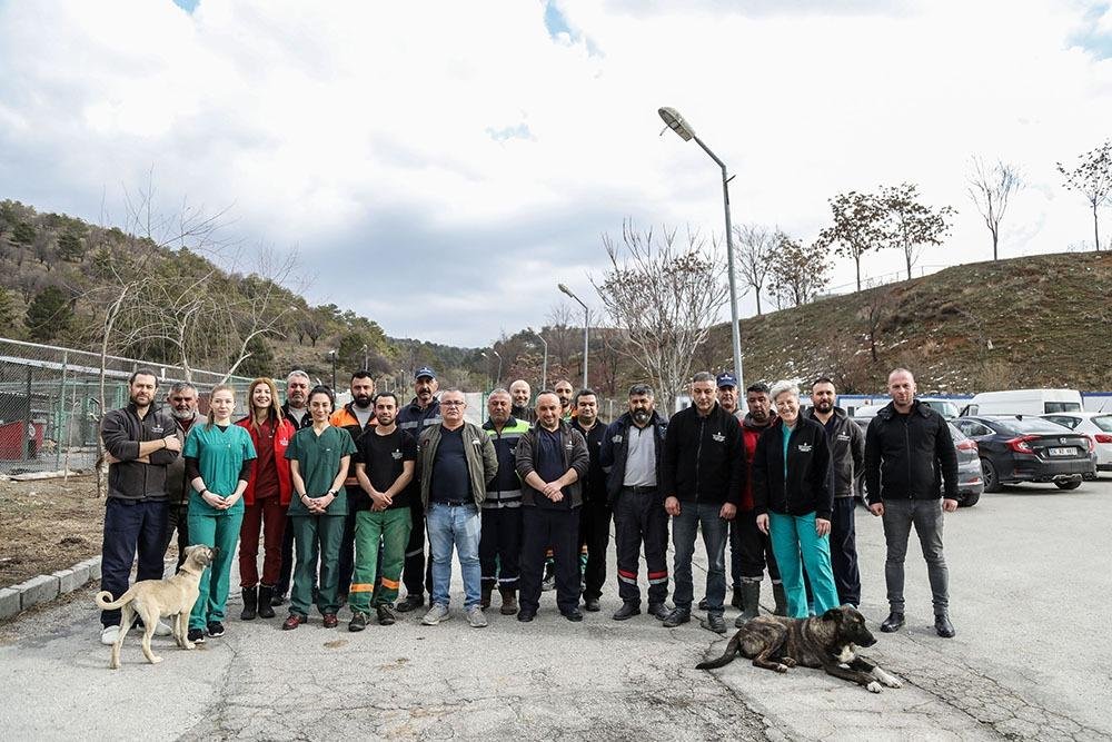 Çankaya Belediyesi Veteriner Hekim ve Teknikerleri Bilimin Işığıyla İlerliyor Çankaya Belediyesi Sahipsiz Sokak Hayvanları Geçici Bakımevi ve Rehabilitasyon Merkezi’ndeki