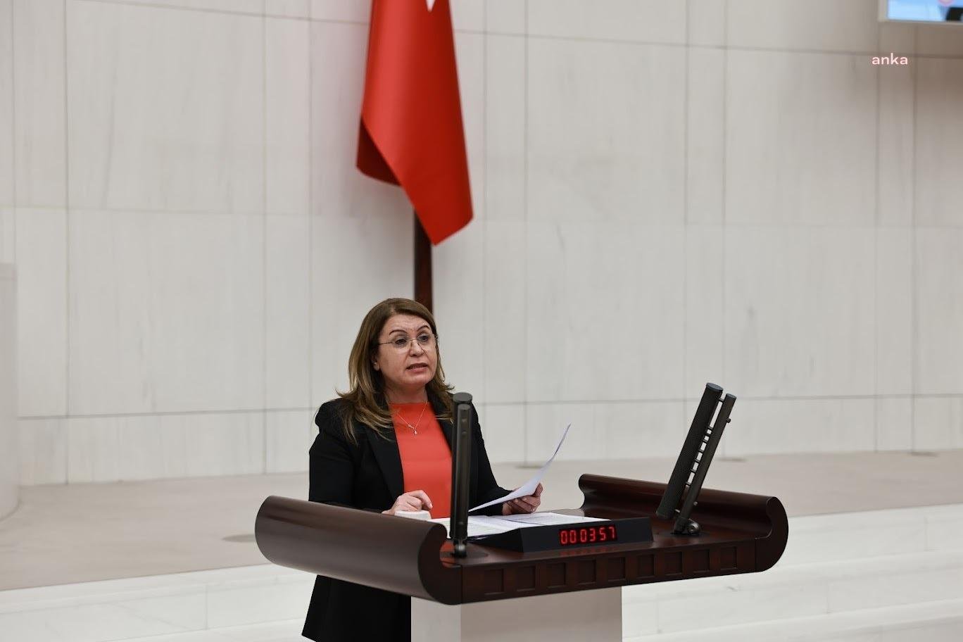 CHP Genel Başkan Yardımcısı Gülizar Biçer Karaca, TBMM Genel Kurulu’da;