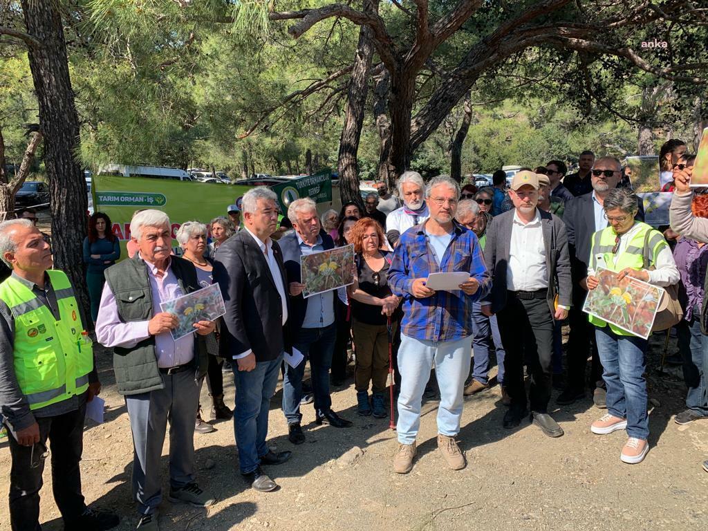 Antalya’da, aralarında Phaselis’e Dokunma Hareketi’nin de olduğu ve sivil toplum