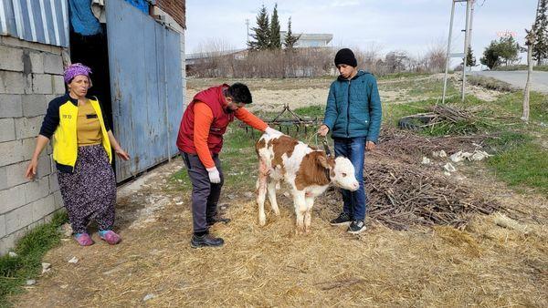 Türk Veteriner Hekimler Birliği (TVHB) Merkez Konseyi, siyasi partilere, 14