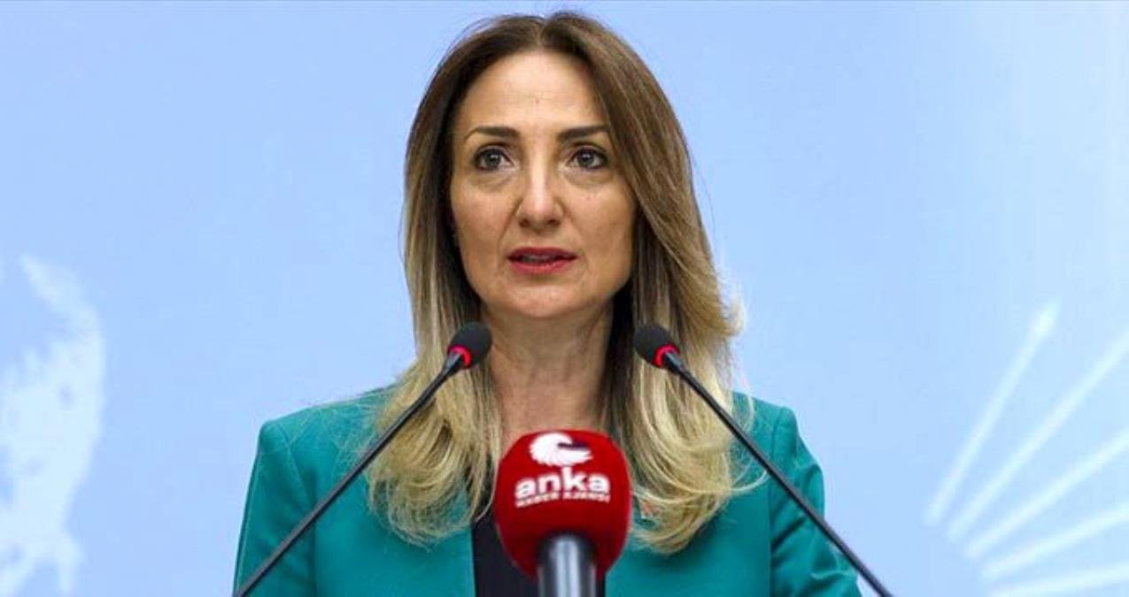 CHP Kadın Kolları Genel Başkanı Aylin Nazlıaka, AKP ile Yeniden