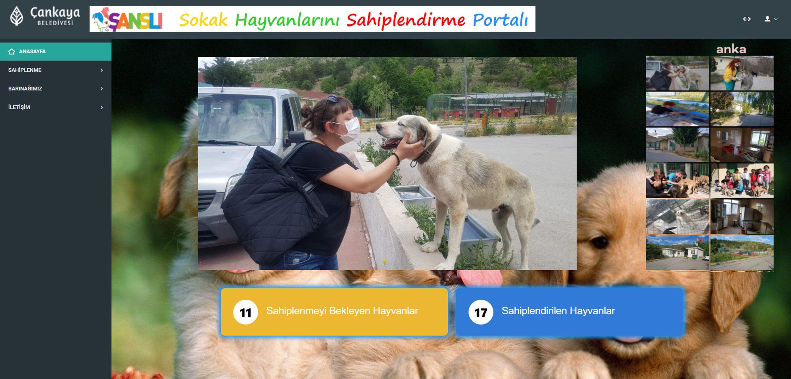 Çankaya Belediyesi tarafından kurulan Sahipsiz Sokak Hayvanları Geçici Bakımevi ve