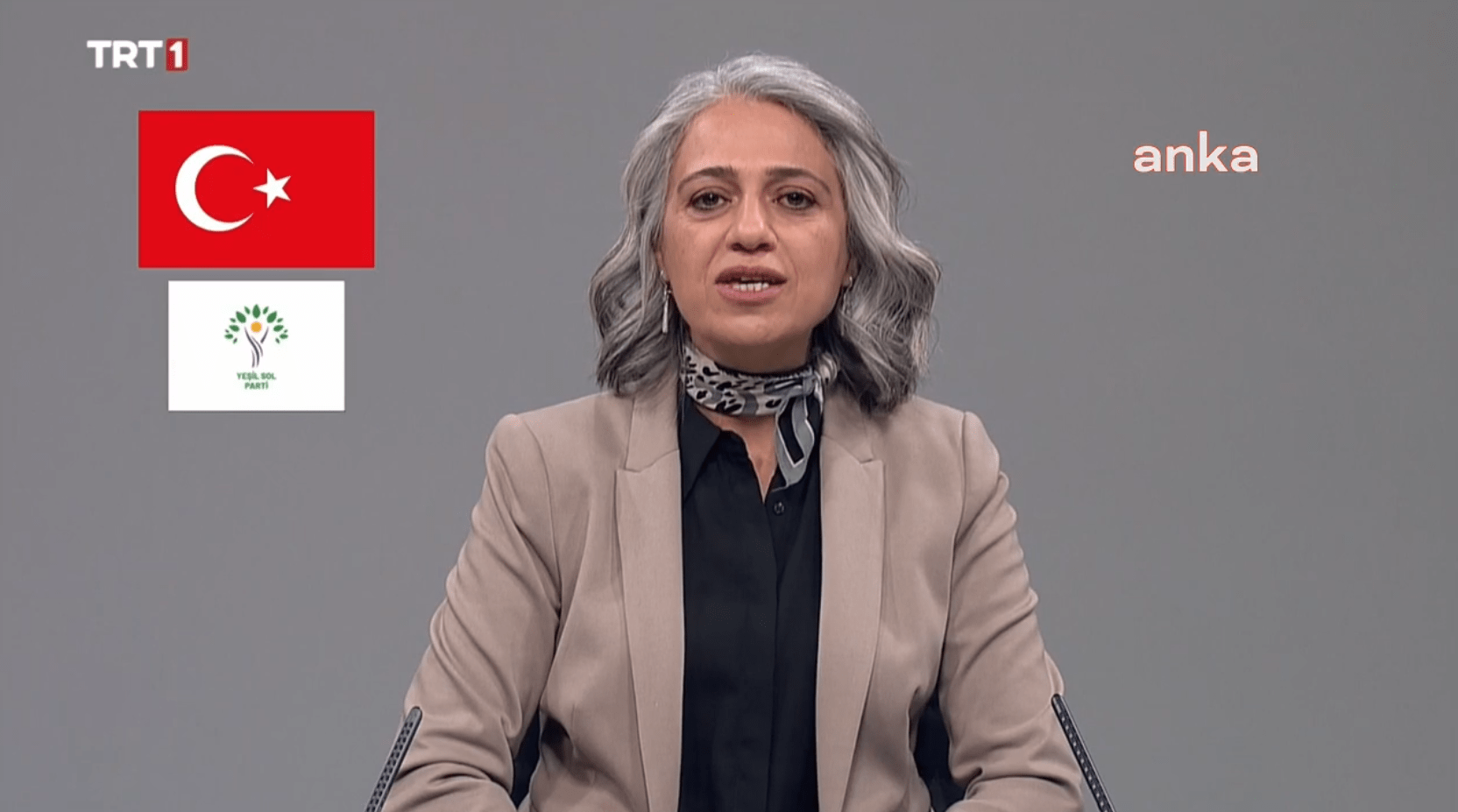 Yeşil Sol Partisi Eş Sözcüsü Çiğdem Kılıçgün Uçar, “Özellikle belirtmek