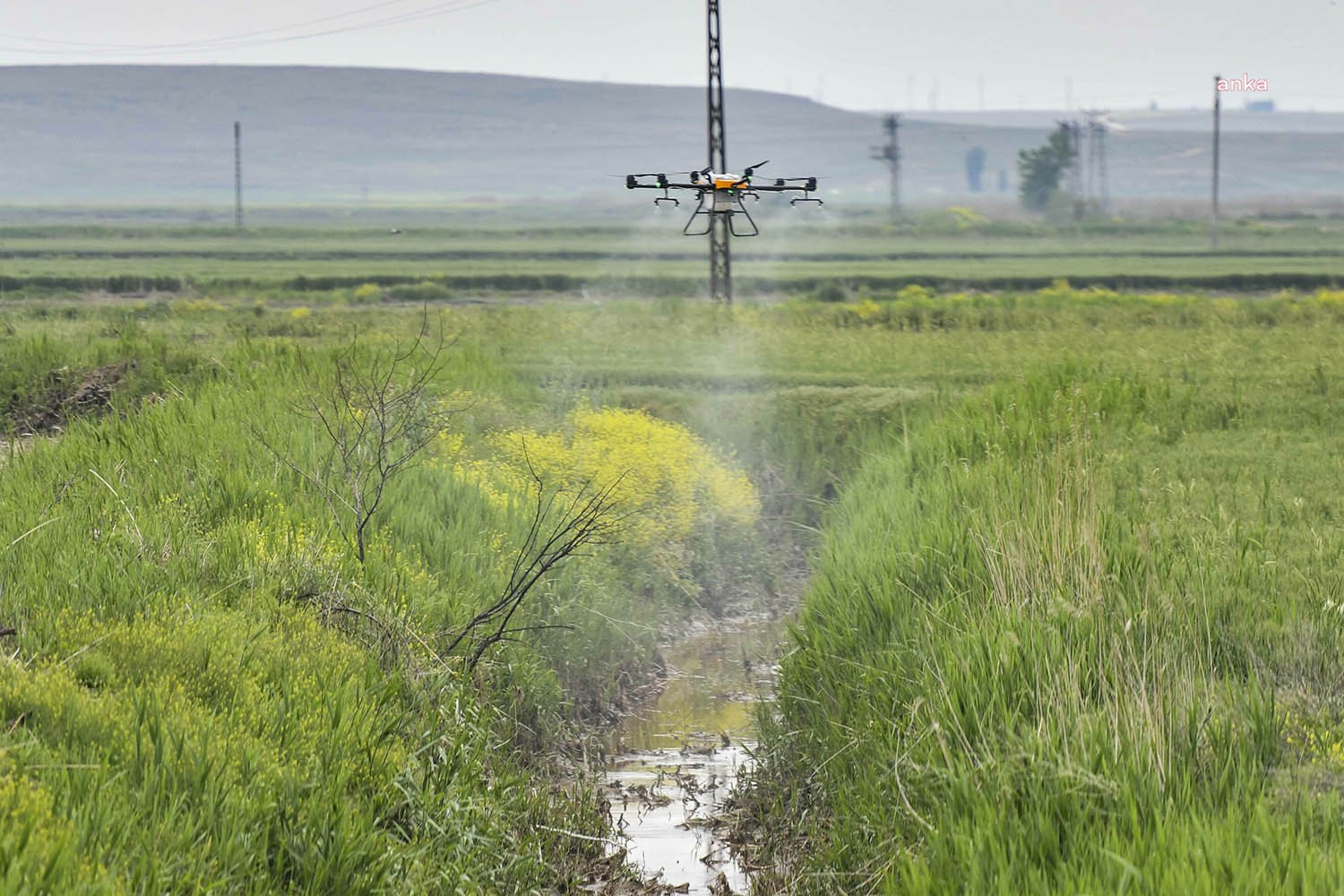 Ankara Büyükşehir Belediyesi, vektörle mücadele ve tarımsal gübreleme uygulamalarında drone