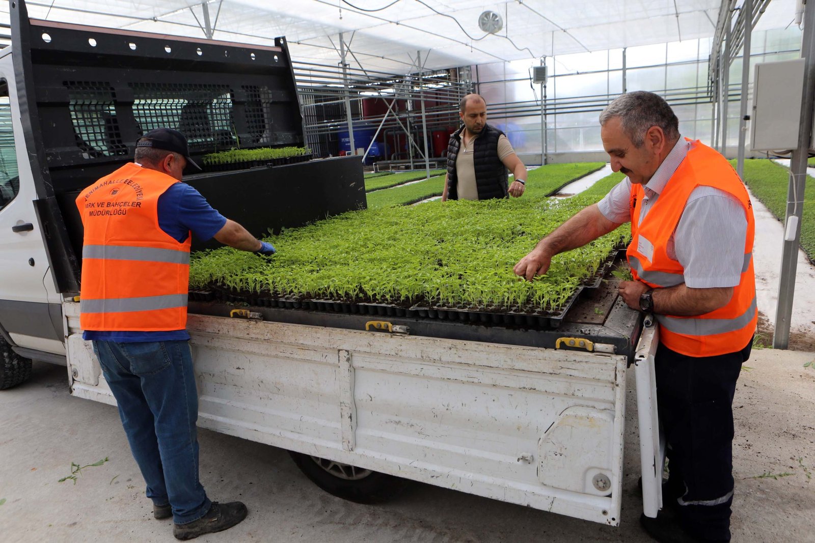 Yenimahalle Belediyesi, vatandaşlara 200 bin domates ve biber fidesi dağıttı.Birçok çiçeğin