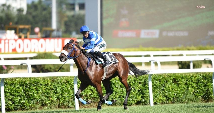 İstanbul’daki Veliefendi Hipodromu’nda koşulan 97. Gazi Koşusu’nu, jokeyliğini Mehmet Kaya'nın