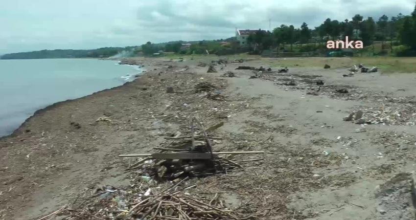 Düzce’nin Akçakoca ilçesinde sağanak yağışlar nedeniyle dere yataklarından sürüklenen tomruk,