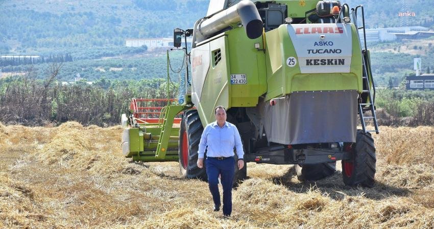 Akhisar Belediyesi’nin toprakla buluşturduğu karakılçık buğdayı hasat edildi. Hasada katılan