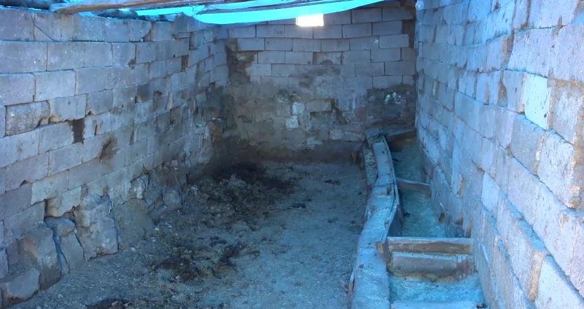 Aksaray'da yaşayan Nebi Kaya ve Kamile Kaya çiftinin baktığı kurbanlık