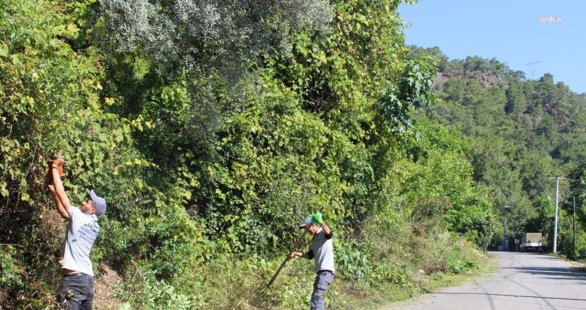 Antalya Büyükşehir Belediyesi Park Bahçeler Daire Başkanlığı ekipleri, Kemer Çıralı'da