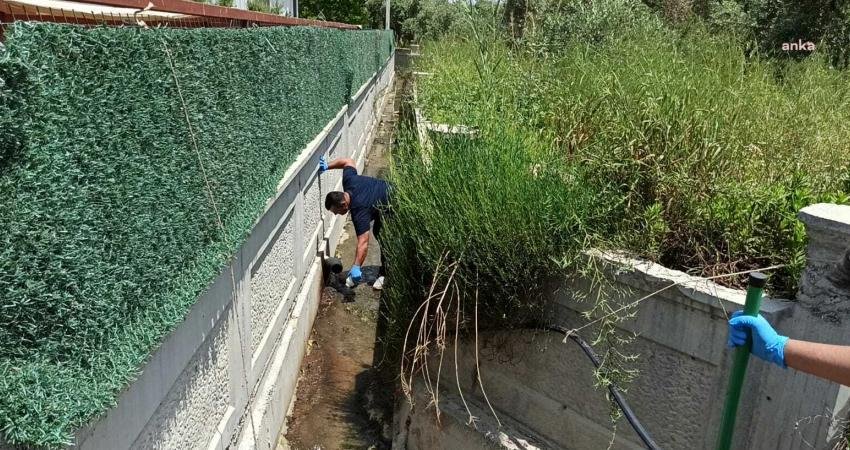 Antalya Büyükşehir Belediyesi ile Akdeniz Üniversitesi arasında imzalanan iş birliği