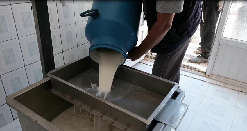 Antalya Büyükşehir Belediyesi, çiğ sütün sağımdan sonra soğuk zincirinin sağlanması