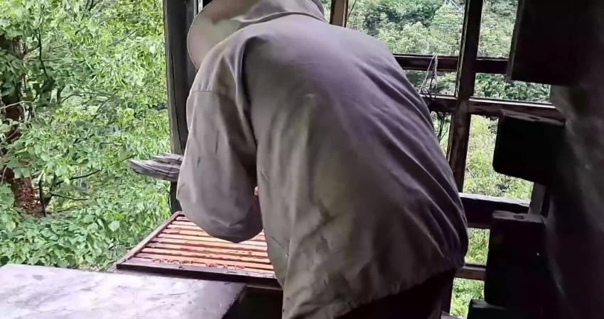 Artvin’in Borçka ilçesi Düzköy’de kestane balı üreticisi ziraat teknisyeni Ömer