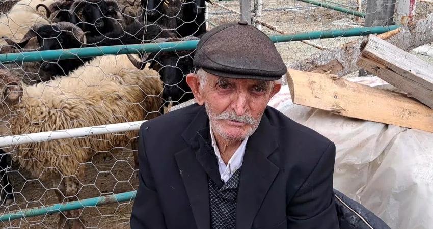 Artvinli besiciler, merkezde kurulan kurban pazarında yerini alırken, bayrama günler