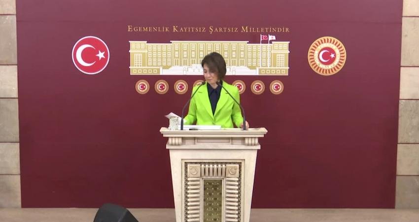 CHP Ankara Milletvekili Aylin Yaman, “Hak kayıpları, sosyal yaşamdan kopuş