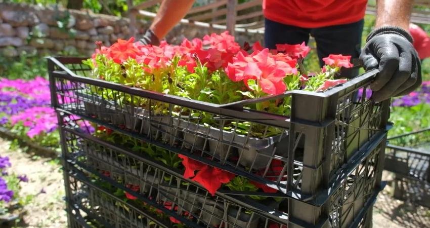 Ankara Büyükşehir Belediyesi (ABB) ANFA Genel Müdürlüğü tarafından kırsal kesimde