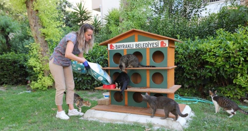 Bayraklı Belediyesi Veteriner İşleri Müdürlüğü ekipleri, yaz aylarında sıcakta kalan