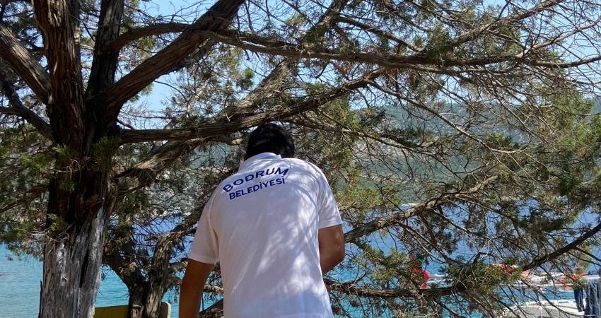 Bodrum Belediyesi, Bodrum Yarımadası’nda yer alan ada ve koylarda kıyı