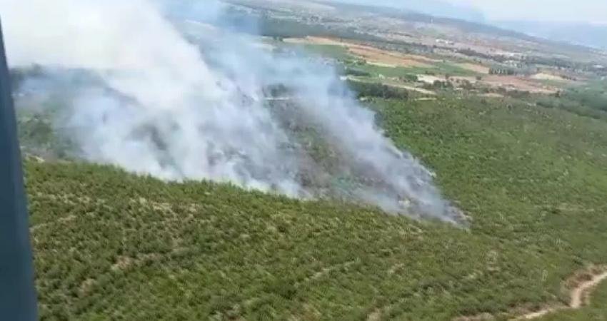İzmir’in Buca ilçesinde çıkan yangın itfaiye ve orman bölge müdürlüğü