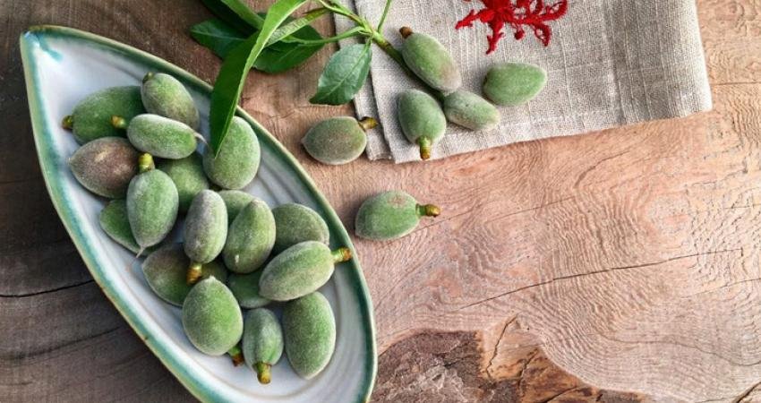 Çağla meyvesinin faydaları neler? İlkbahar gelişini müjdeleyen çağla meyvesinin bilinmeyen