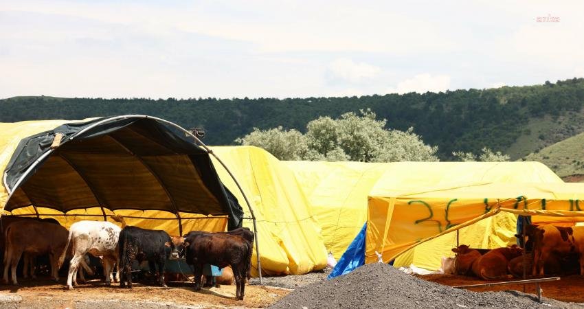 Çankaya Belediyesi, Kurban Bayramı Hazırlıklarını Tamamladı Çankaya Belediyesi, Yeşilkent Mahallesi’ne kurduğu kurban satış ve kesim alanında