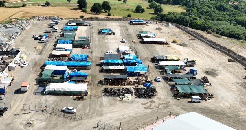 Çerkezköy Belediyesi’nin Pınarça Yolu üzerinde bulunan kurbanlık hayvan satış ve