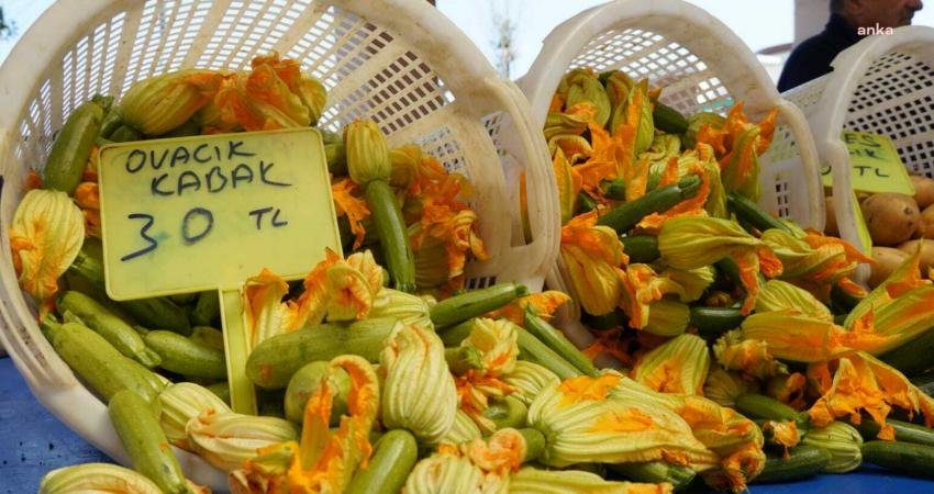 Üreticiyi doğrudan tüketici ile buluşturan Çeşme Belediyesi'nin “Tarladan Sofraya” projesi