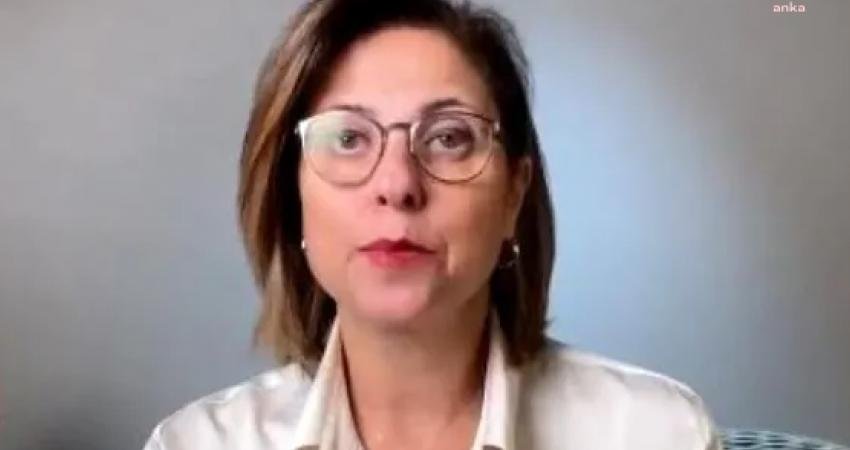 Demokrat Parti Genel Başkan Yardımcısı İlay Aksoy, Suriyelilere ücretsiz verilecek