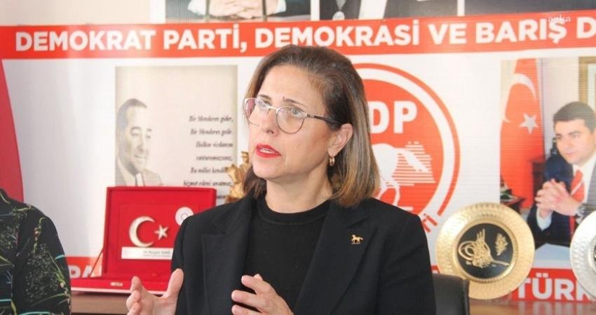 Demokrat Parti Göç ve Sosyal Politikalardan Sorumlu Genel Başkan Yardımcısı