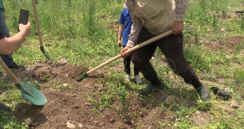 Ankara Büyükşehir Belediyesi (ABB) Deprem Risk Yönetimi ve Kentsel İyileştirme