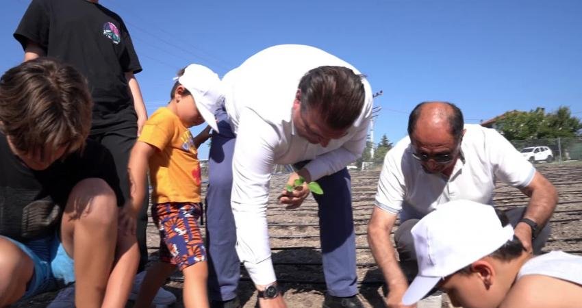Seferihisar’da binlerce alana ekilen ata tohumu ve lavantadan sonra ekinezya