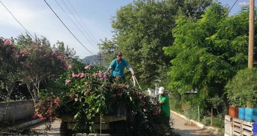 Germencik Belediyesi ekipleri, havaların ısınmasıyla birlikte ilçe genelinde temizlik ve