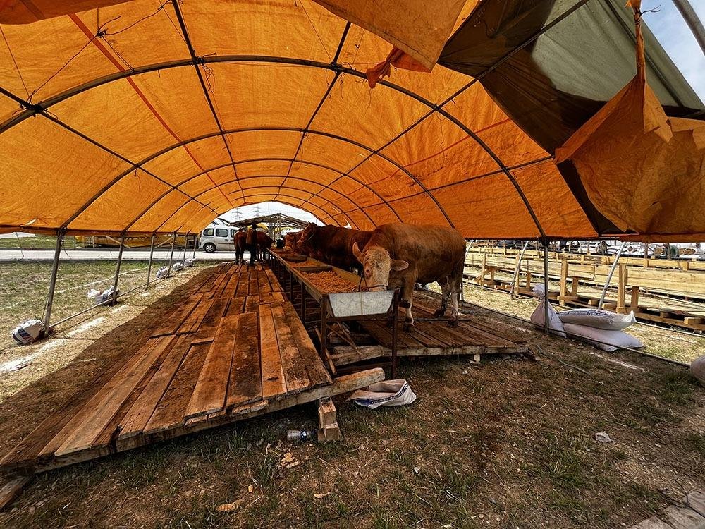 Sincan Modern Kesim ve Satış Alanlarıyla Kurban Bayramına Hazır Sincan Belediyesi kurban kesim yeri ve kurban pazarı alanları için