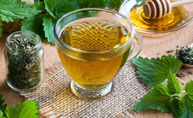 Isırgan otunun faydaları neler? Isırgan otu çayı nasıl yapılır? Temas