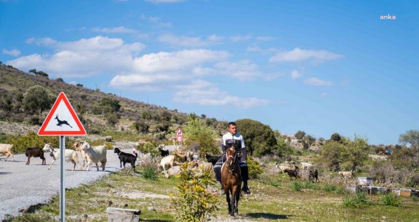 İzmir Büyükşehir Belediyesi’nin ‘Çoban Start-up’ projesi ile destek verilecek genç