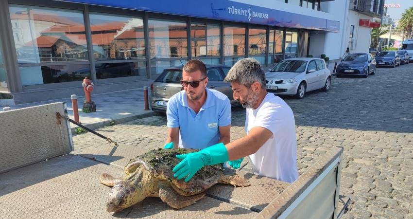 İzmir Büyükşehir Belediyesi Deniz Koruma Şube Müdürlüğü ekipleri, körfez temizliği