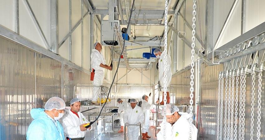 İzmir Büyükşehir Belediyesi, Kurban Bayramı için çalışmalarını tamamladı. Kurban kesimleri