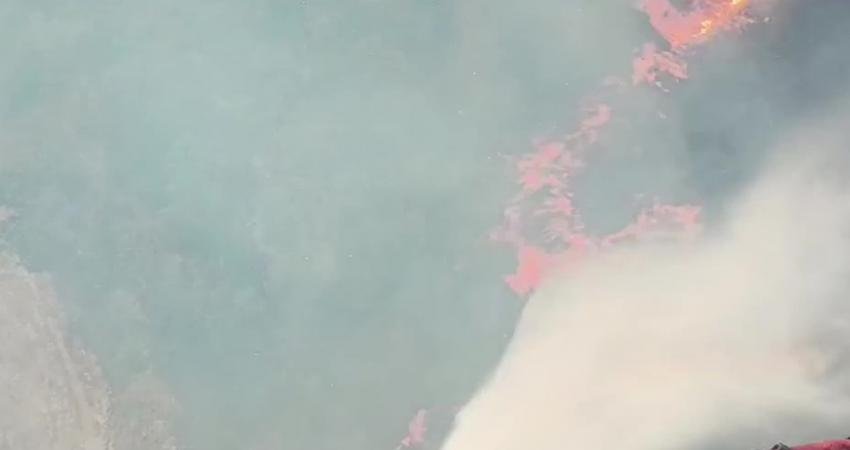 İzmir’in Menemen ilçesi Yahşelli Mahallesi’nde orman yangını çıktı.