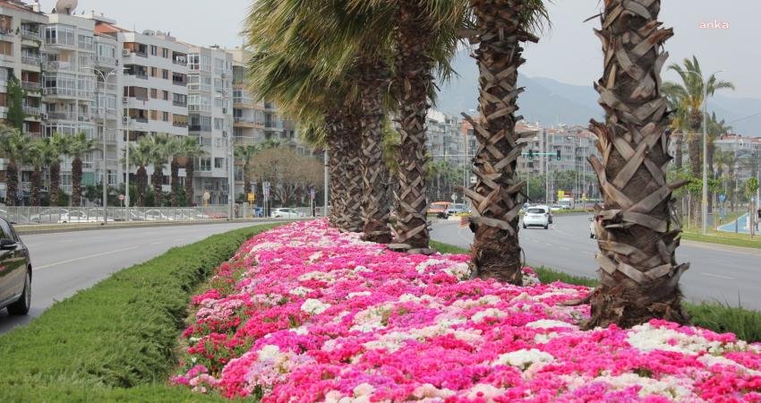 İzmir Büyükşehir Belediyesi’nin bahar aylarında kentin dört bir yanına diktiği