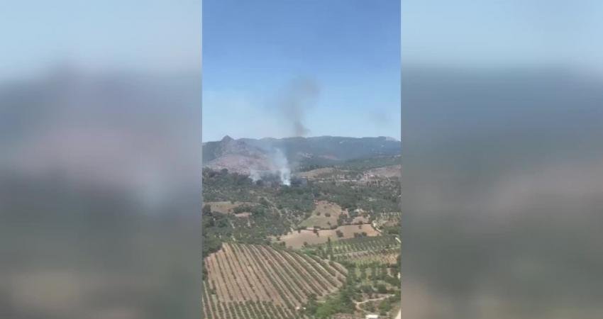 İzmir’in Bergama İlçesinde çıkan yangın itfaiye ve orman bölge müdürlüğü