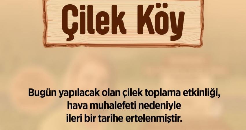 İzmit Belediyesi’nin Çayırköy Mahallesi’nde oluşturduğu Çilek Köyü’nde bugün düzenlenecek hasat