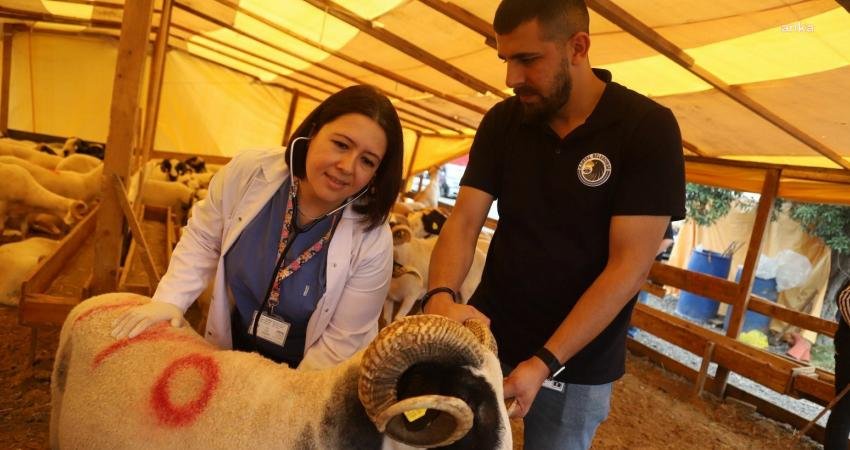 Kartal Belediyesi, Kurban Bayramı’na sayılı günler kala vatandaşların ibadetlerini sağlıklı