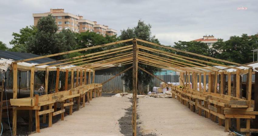 Kartal Belediyesi, Kurban Bayramı’na sayılı günler kala ilçede oluşturduğu kurban